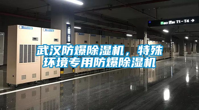 武汉防爆香蕉视频国产APP下载机，特殊环境专用防爆香蕉视频国产APP下载机