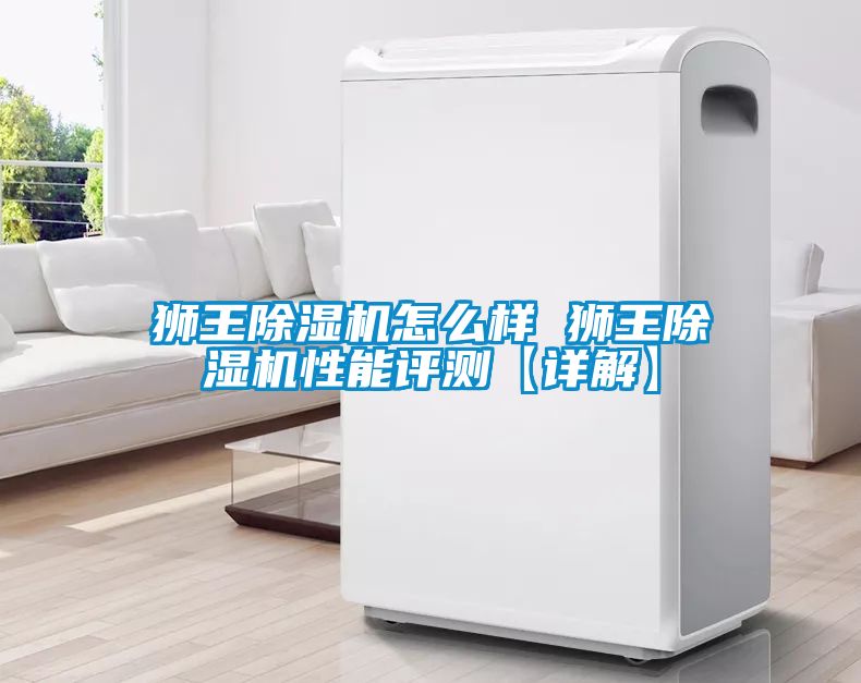 狮王香蕉视频国产APP下载机怎么样 狮王香蕉视频国产APP下载机性能评测【详解】