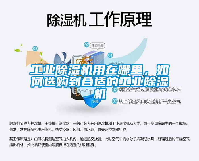 工业香蕉视频国产APP下载机用在哪里，如何选购到合适的工业香蕉视频国产APP下载机