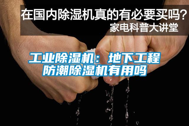 工业香蕉视频国产APP下载机：地下工程防潮香蕉视频国产APP下载机有用吗