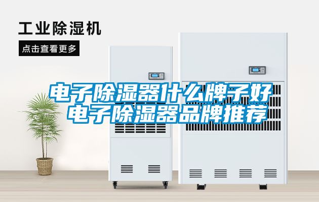 电子香蕉视频国产APP下载器什么牌子好 电子香蕉视频国产APP下载器品牌推荐