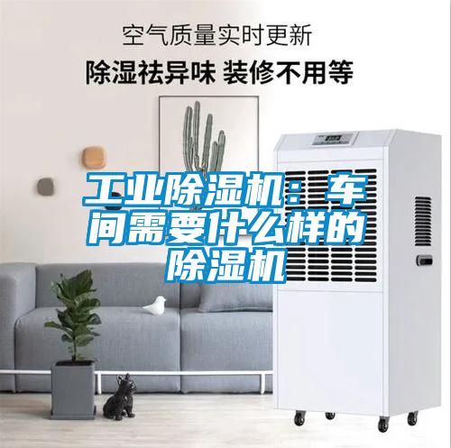 工业香蕉视频国产APP下载机：车间需要什么样的香蕉视频国产APP下载机