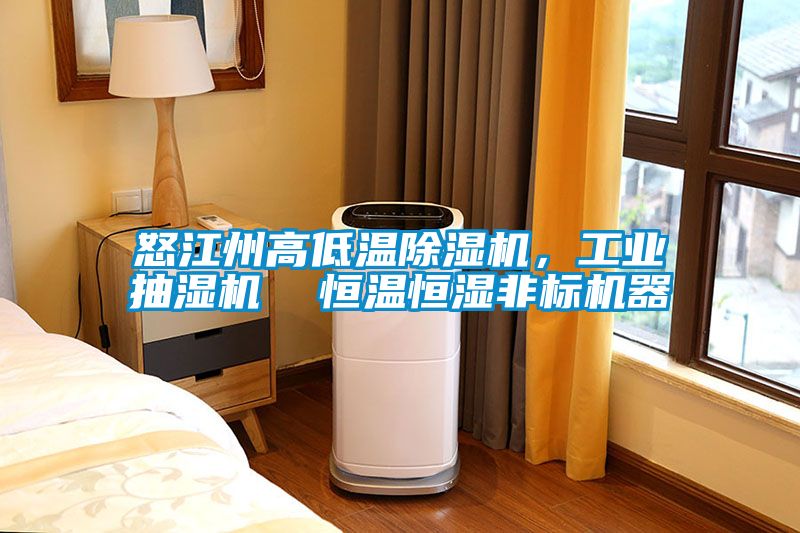 怒江州高低温香蕉视频国产APP下载机，工业抽湿机  恒温恒湿非标机器