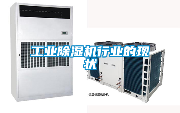 工业香蕉视频国产APP下载机行业的现状