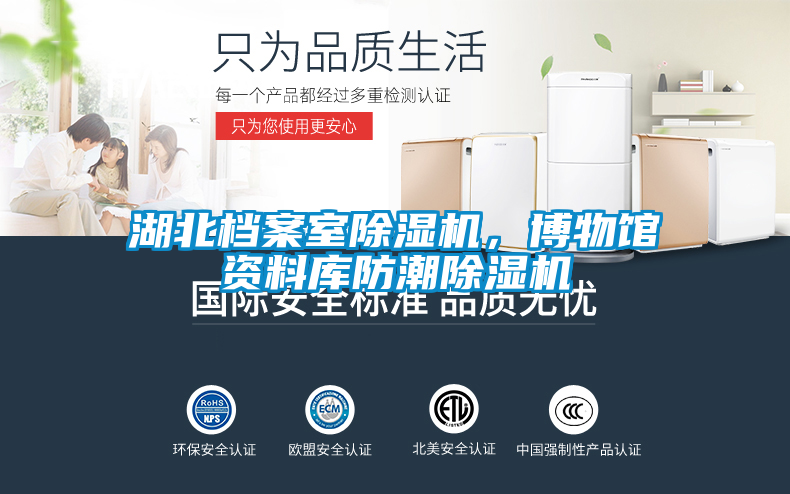 湖北档案室香蕉视频国产APP下载机，博物馆资料库防潮香蕉视频国产APP下载机