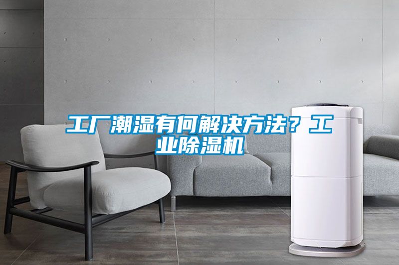 工厂潮湿有何解决方法？工业香蕉视频国产APP下载机