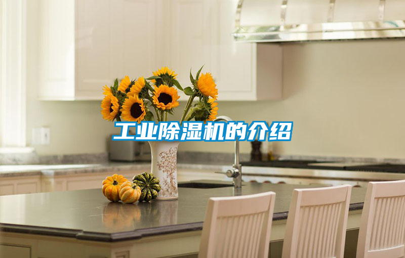 工业香蕉视频国产APP下载机的介绍
