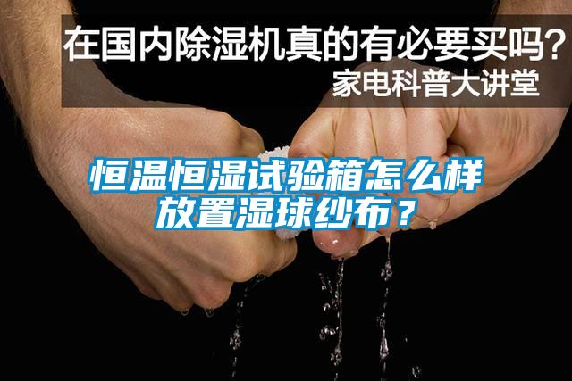 恒温恒湿试验箱怎么样放置湿球纱布？