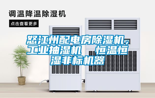 怒江州配电房香蕉视频国产APP下载机，工业抽湿机  恒温恒湿非标机器
