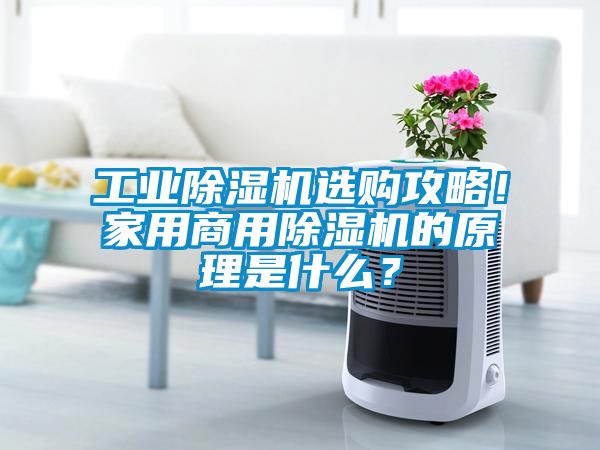 工业香蕉视频国产APP下载机选购攻略！家用商用香蕉视频国产APP下载机的原理是什么？