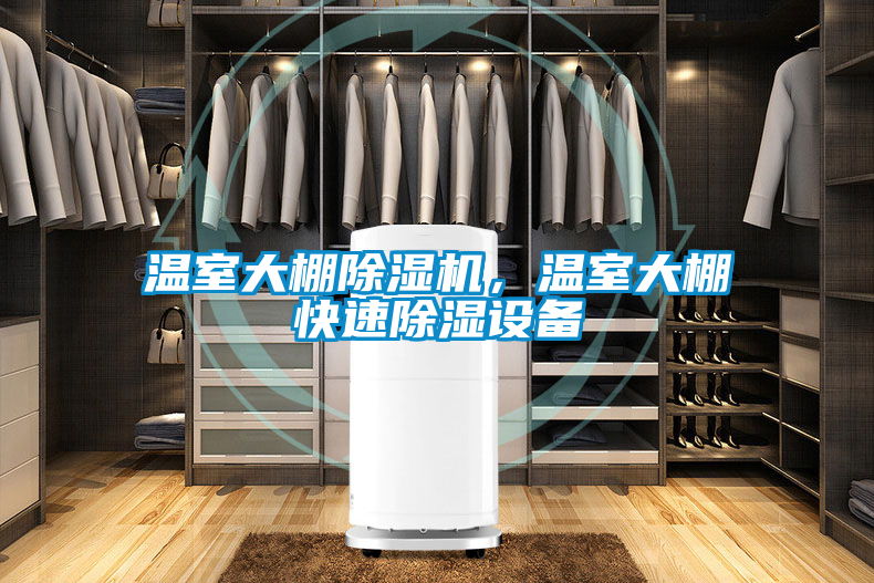 温室大棚香蕉视频国产APP下载机，温室大棚快速香蕉视频国产APP下载设备