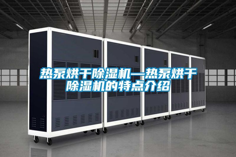 热泵烘干香蕉视频国产APP下载机—热泵烘干香蕉视频国产APP下载机的特点介绍
