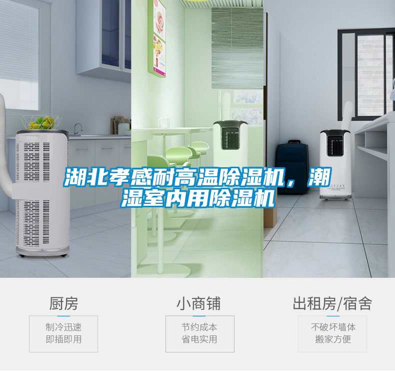 湖北孝感耐高温香蕉视频国产APP下载机，潮湿室内用香蕉视频国产APP下载机