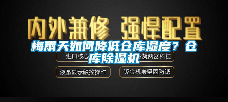 梅雨天如何降低仓库湿度？仓库香蕉视频国产APP下载机