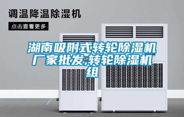 湖南吸附式转轮香蕉视频国产APP下载机厂家批发,转轮香蕉视频国产APP下载机组