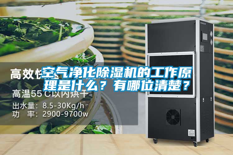 空气净化香蕉视频国产APP下载机的工作原理是什么？有哪位清楚？