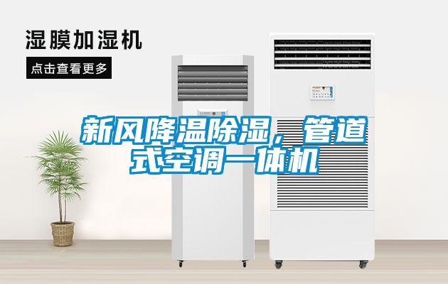 新风降温香蕉视频国产APP下载，管道式空调一体机