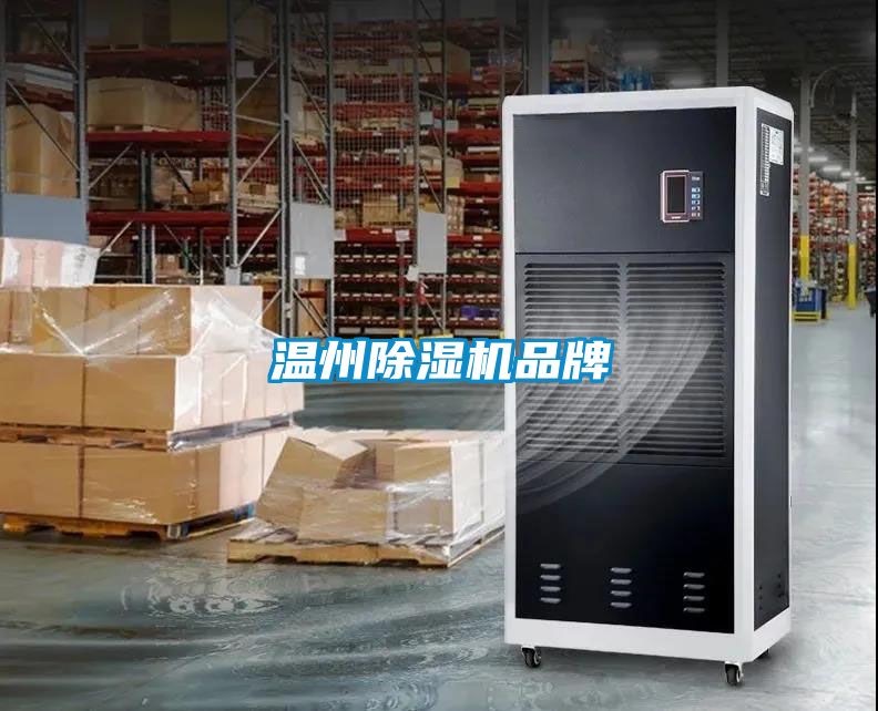 温州香蕉视频国产APP下载机品牌