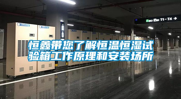 恒鑫带您了解恒温恒湿试验箱工作原理和安装场所