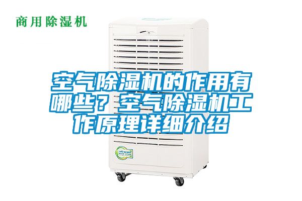 空气香蕉视频国产APP下载机的作用有哪些？空气香蕉视频国产APP下载机工作原理详细介绍
