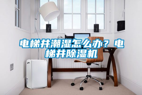 电梯井潮湿怎么办？电梯井香蕉视频国产APP下载机