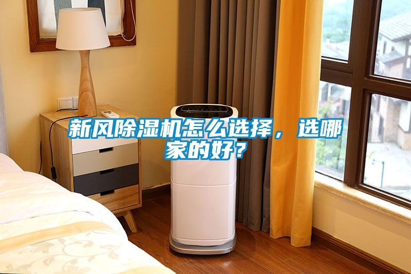 新风香蕉视频国产APP下载机怎么选择，选哪家的好？