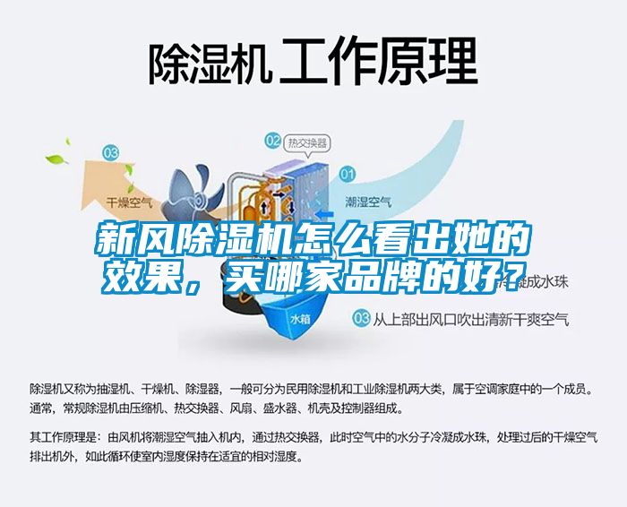 新风香蕉视频国产APP下载机怎么看出她的效果，买哪家品牌的好？
