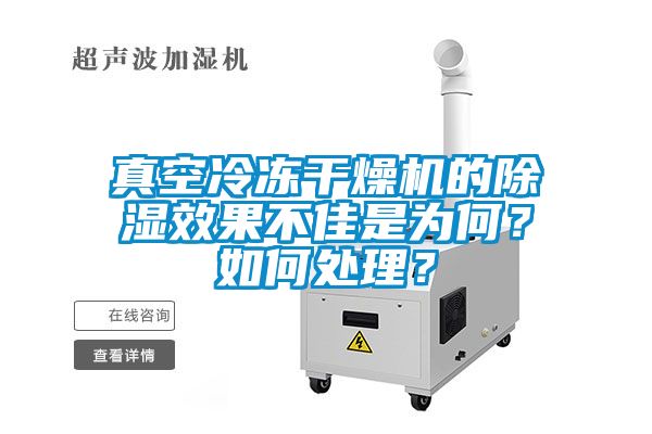 真空冷冻干燥机的香蕉视频国产APP下载效果不佳是为何？如何处理？