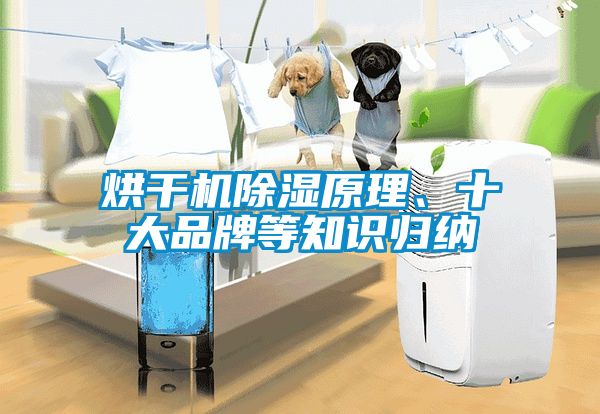 烘干机香蕉视频国产APP下载原理、十大品牌等知识归纳