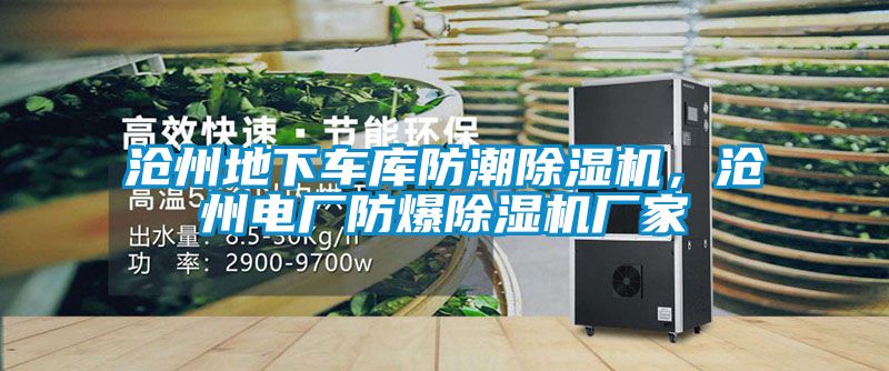 沧州地下车库防潮香蕉视频国产APP下载机，沧州电厂防爆香蕉视频国产APP下载机厂家