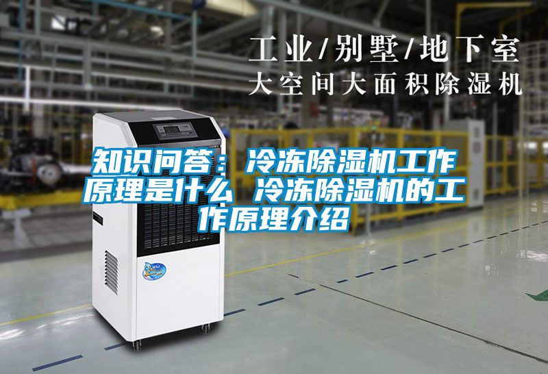 知识问答：冷冻香蕉视频国产APP下载机工作原理是什么 冷冻香蕉视频国产APP下载机的工作原理介绍