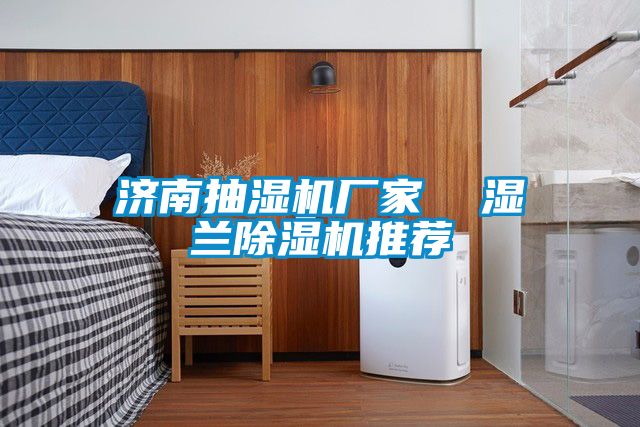 济南抽湿机厂家  湿兰香蕉视频国产APP下载机推荐