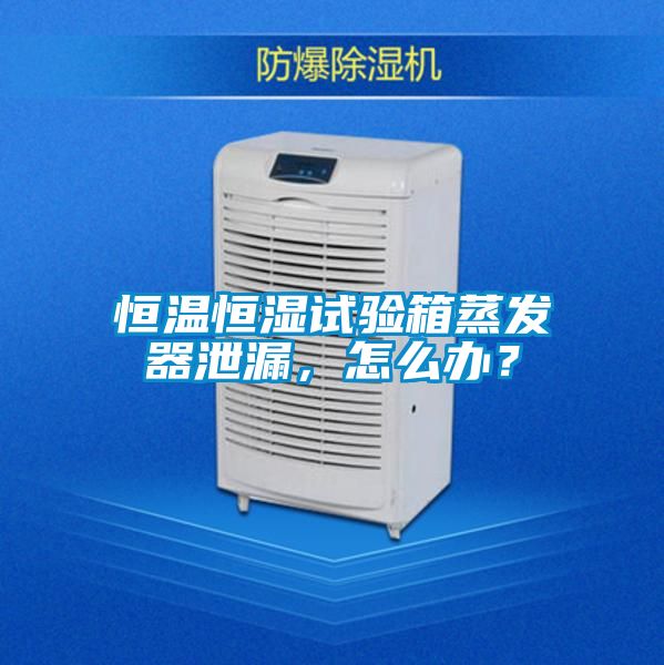 恒温恒湿试验箱蒸发器泄漏，怎么办？