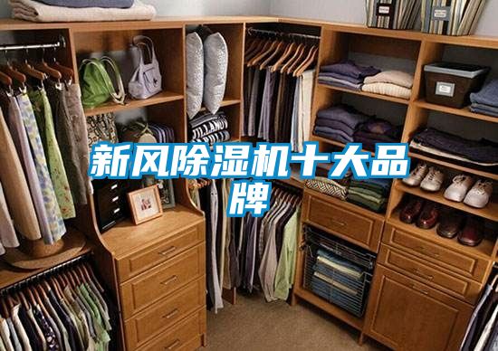 新风香蕉视频国产APP下载机十大品牌