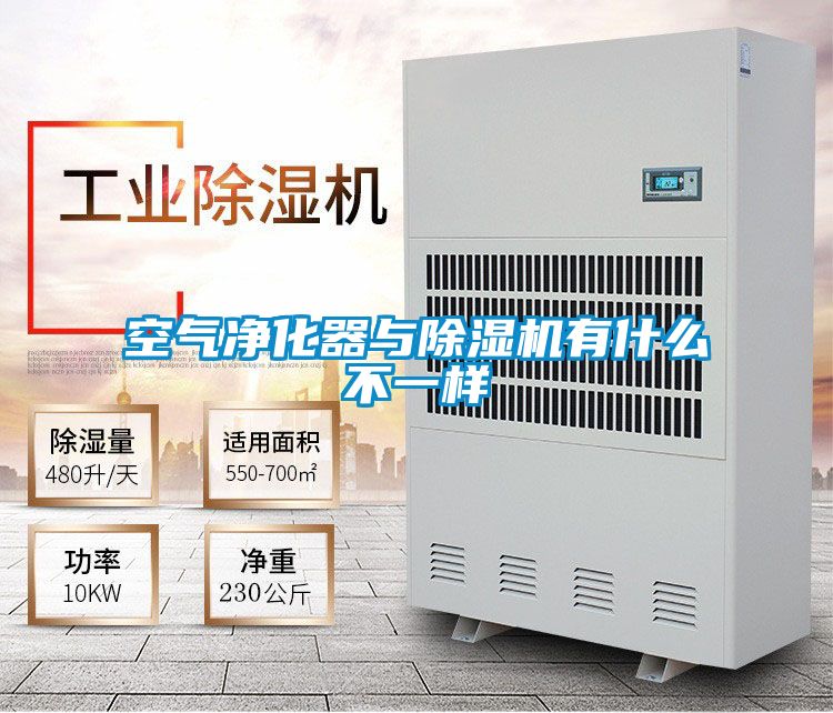 空气净化器与香蕉视频国产APP下载机有什么不一样
