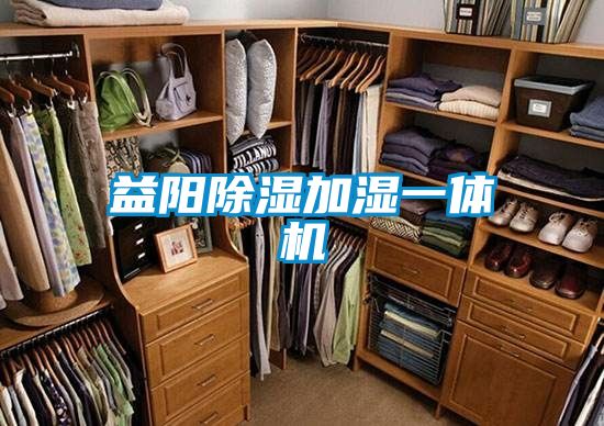 益阳香蕉视频国产APP下载加湿一体机