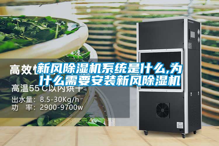 新风香蕉视频国产APP下载机系统是什么,为什么需要安装新风香蕉视频国产APP下载机