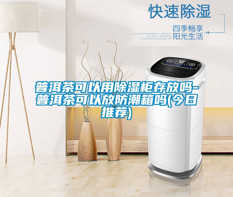 普洱茶可以用香蕉视频国产APP下载柜存放吗-普洱茶可以放防潮箱吗(今日推荐)