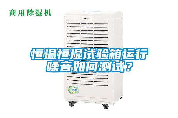 恒温恒湿试验箱运行噪音如何测试？