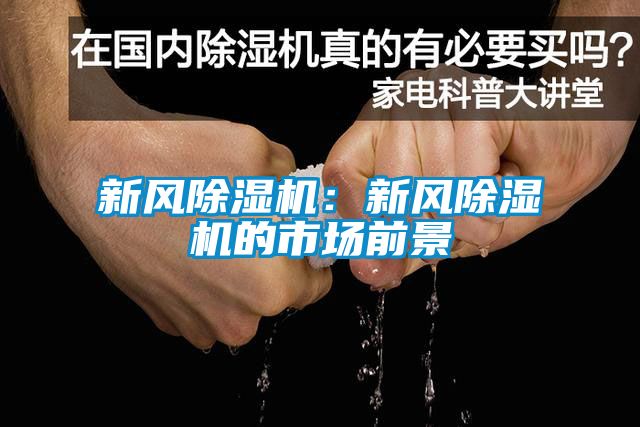 新风香蕉视频国产APP下载机：新风香蕉视频国产APP下载机的市场前景