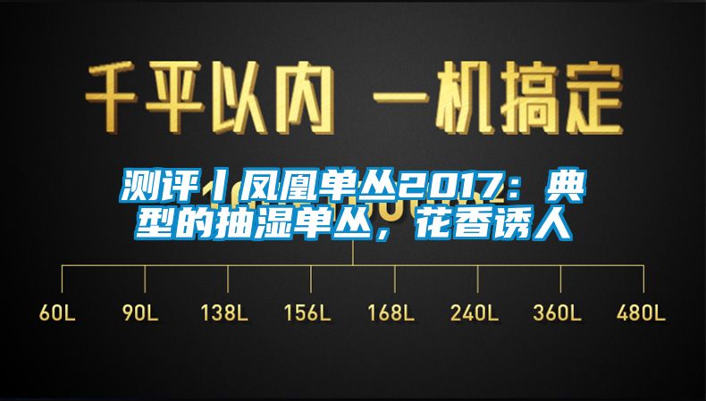 测评丨凤凰单丛2017：典型的抽湿单丛，花香诱人