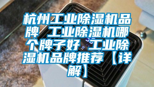 杭州工业香蕉视频国产APP下载机品牌 工业香蕉视频国产APP下载机哪个牌子好 工业香蕉视频国产APP下载机品牌推荐【详解】