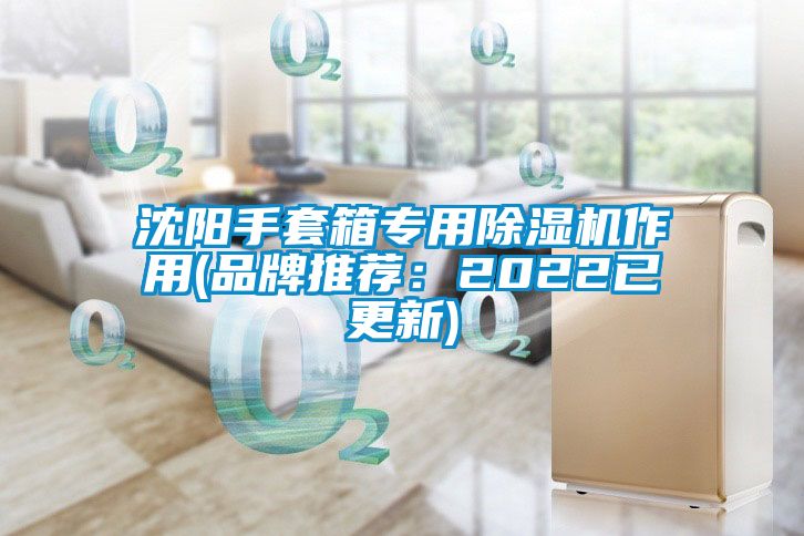沈阳手套箱专用香蕉视频国产APP下载机作用(品牌推荐：2022已更新)