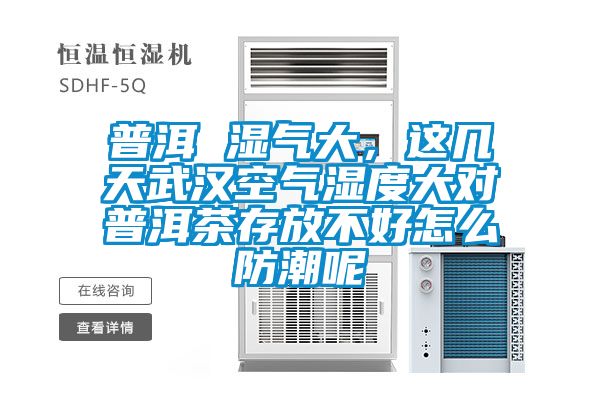 普洱 湿气大，这几天武汉空气湿度大对普洱茶存放不好怎么防潮呢