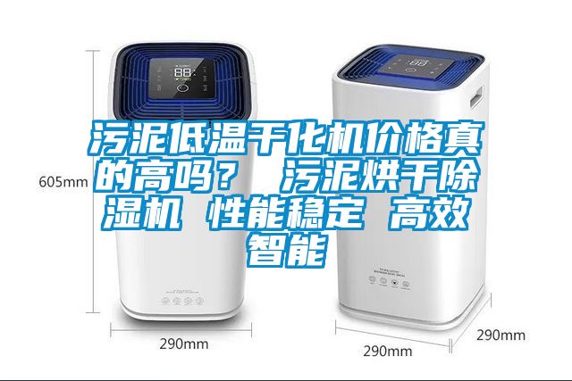 污泥低温干化机价格真的高吗？ 污泥烘干香蕉视频国产APP下载机 性能稳定 高效智能