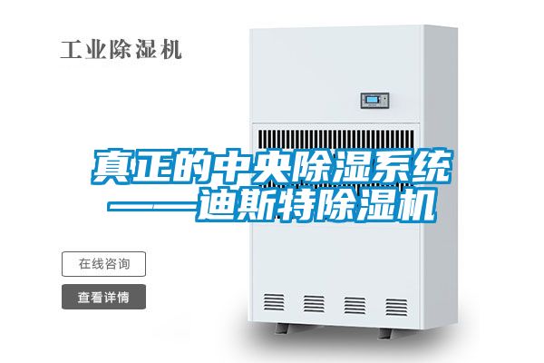 真正的中央香蕉视频国产APP下载系统——迪斯特香蕉视频国产APP下载机