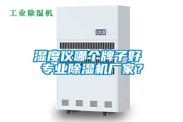湿度仪哪个牌子好 专业香蕉视频国产APP下载机厂家？