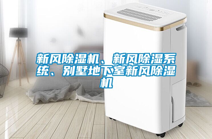 新风香蕉视频国产APP下载机、新风香蕉视频国产APP下载系统、别墅地下室新风香蕉视频国产APP下载机