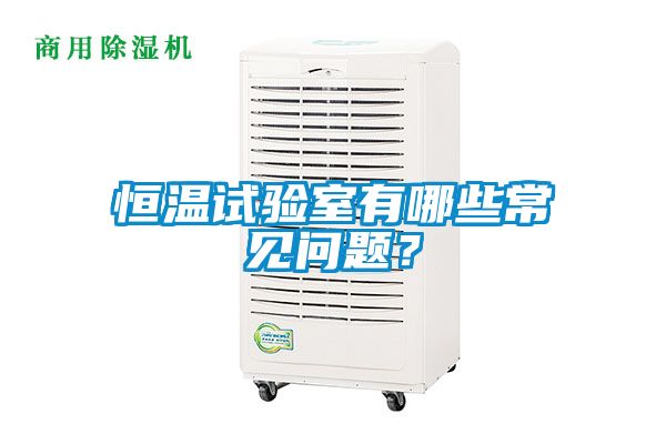 恒温试验室有哪些常见问题？
