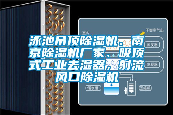 泳池吊顶香蕉视频国产APP下载机、南京香蕉视频国产APP下载机厂家、吸顶式工业去湿器，射流风口香蕉视频国产APP下载机